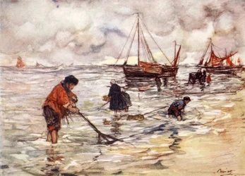 Pesca de camarones